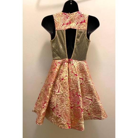 Gold/pink metallic sheer mesh trim dress S - Picture 4 of 4